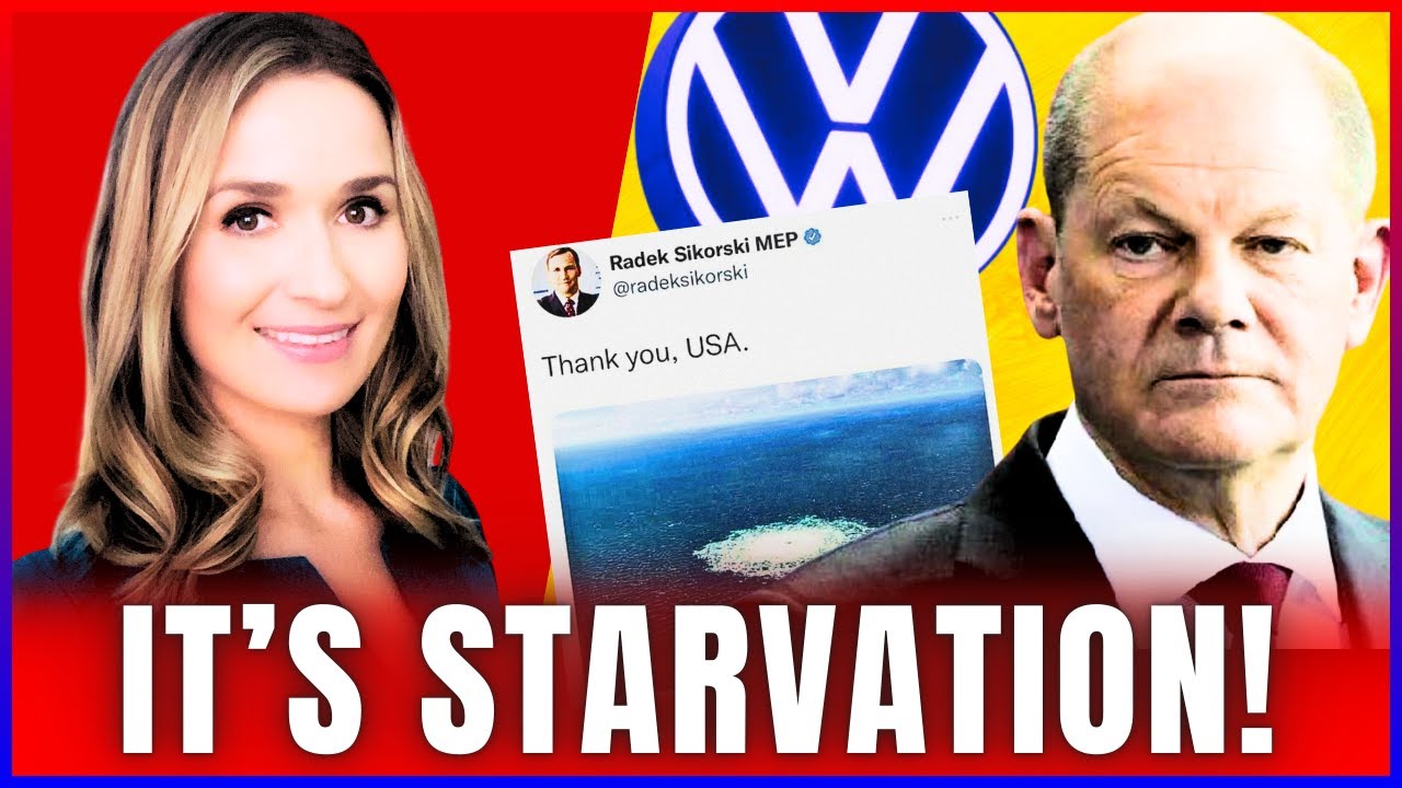 291: The coming shock | Surplus Energy Economics