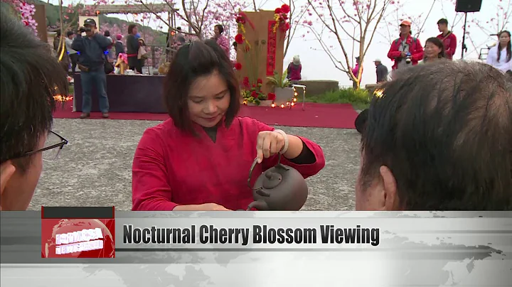 Chiayi town offers nocturnal views of cherry blossoms - DayDayNews