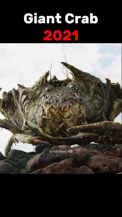 Evolution of Giant Crab #shorts #evolution