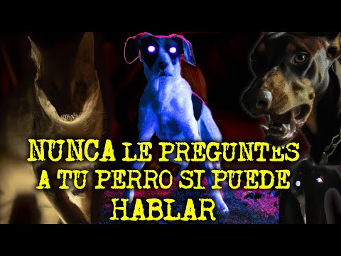 Video: Mi experiencia poseyendo perros Whippet