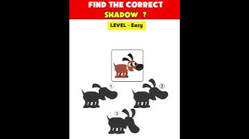 Test Your Eyes: Find The Correct Shadow 😎| Riddle And Puzzle For Iq | #shorts #viral #paheliyan