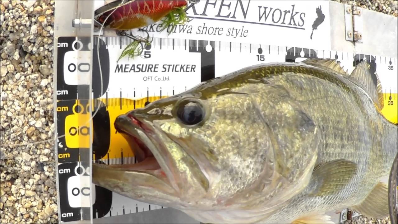 16 6月13日 琵琶湖で55cm ワームテスト Tn70 Youtube