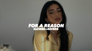 For A Reason Slowed And Reverb - Insane Ashraf