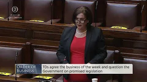 Deputy Mary Lou McDonald - speech from 21 Jul 2020
