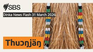 Dinka News Flash 31 March 2026 | SBS Dinka - SBS Dinka
