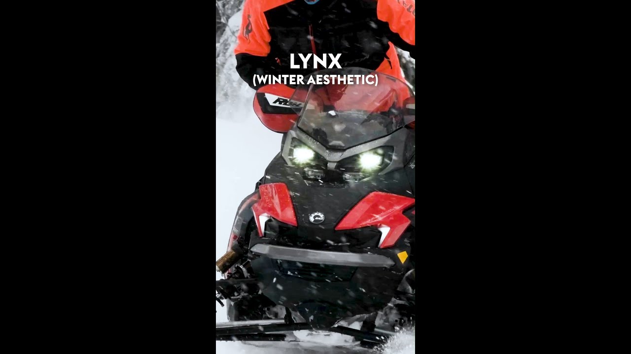 This Lynx outfit is such a vibe