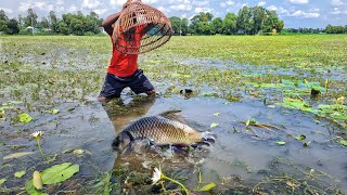 Amazing Daily Life Fishing In Village Really Big Fishing Video In Flood Water Oh Polo Fishing Trap