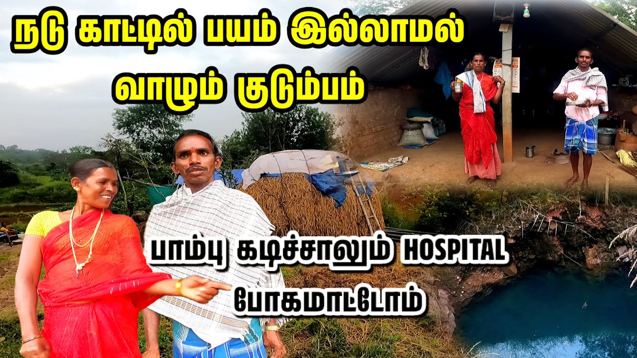 நடு காட்டில் பயம் இல்லாமல் வாழும் குடும்பம் | பாம்பு கடித்தால் HOSPITAL செல்ல மாட்டோம் | PELAPADI |