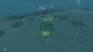 One advice regarding The Circle Of Rocks | Korok Hunting in Breath Of The Wild