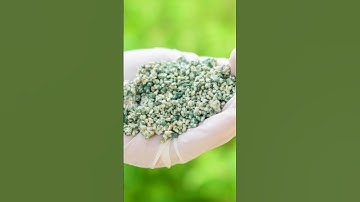 Trichoderma #general knowledge shorts#youtubeshorts #youtube