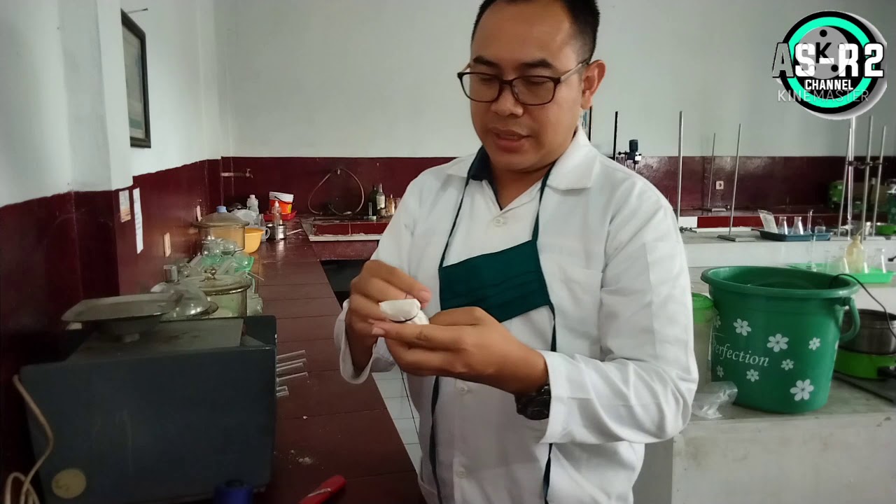 Extraction of Candlenut Oil and Quality Test YouTube