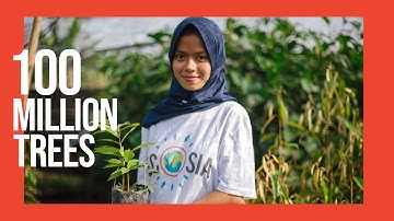 How 100 million trees are changing the world