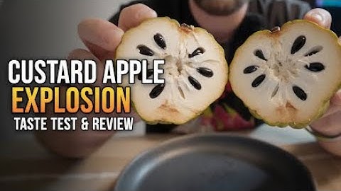 The Best is Yet To Come!