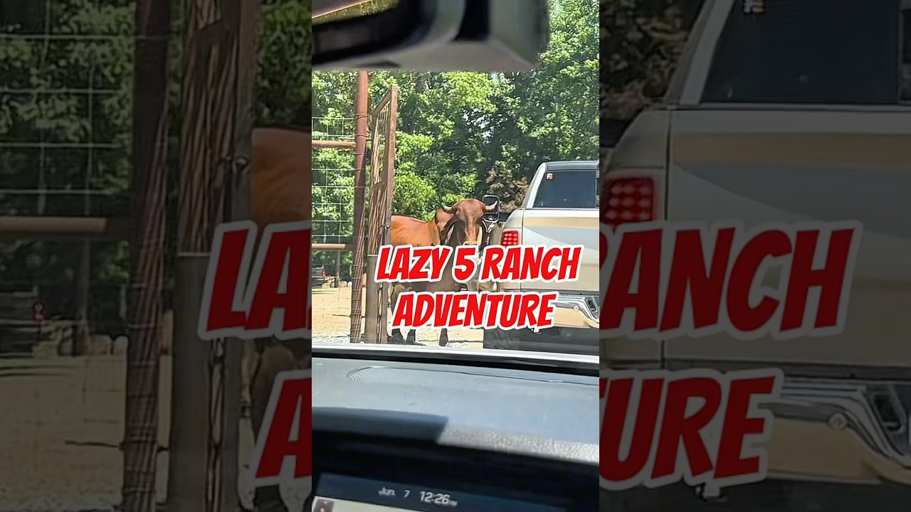 Crazy Animal Encounters at LAZY 5 RANCH!