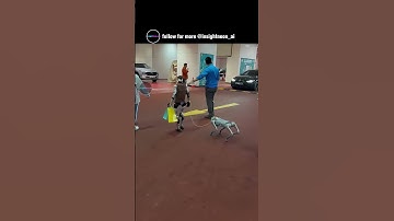 Chinese robotics company Unitree sells robots to the public and they walks around towns!