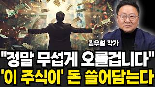 "정말 무섭게 오를겁니다" '이 주식이' 돈 쓸어담는다 (김우철 작가)