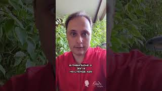 Адвокат Егоров приглашает вас на выставку СТТ 2025 к нам в гости! #диктум  #адвокатегоров #стт2025