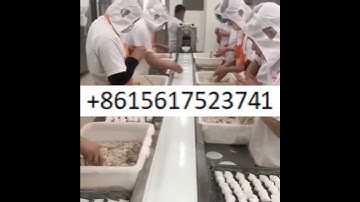 Automatic Customized Dough Skin Maker  Dumpling Wrapper Machine  Burger Bun Making Machine