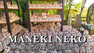 Discover the Cat Temple: Birthplace of Maneki-neko | Tokyo Walking ...