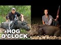 Pest Control TEXAS STYLE | AR15 and Crossbow