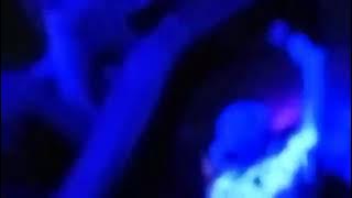 💃LAGU ACARA  KOMEMANG BANYAK 🌴 ENTUS KORENA RMX  NEW!! PARTY KALIMANTAN TIMUR 📵