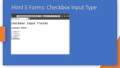 036 HTML5 Checkbox Input Field