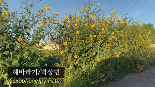 [색소폰연주] 해바라기/박상민. Saxo cover W. Peter
