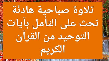 تلاوة صباحية هادئة تحث على التأمل بآيات التوحيد من القرآن الكريم