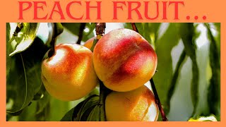 Peach fruit #peach #fruit