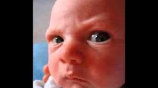 Aliukai - Nepakeliui