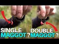 Is A Single Maggot BETTER Than A Double Maggot For Waggler Fishing ??
