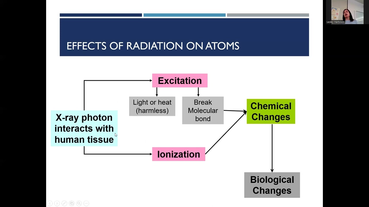 Radiation Biology and Safety