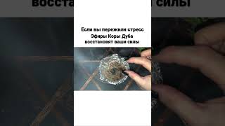 Восстановление после стресса. #shorts #восстановитьздоровье #энергия #стресс #гармонизация