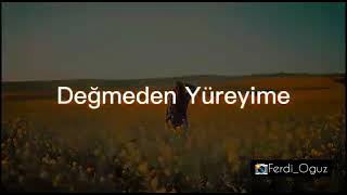 Ferdi Oğuz-Söyle Cover Status Üçün Video