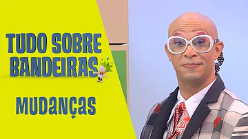 Porque a bandeira do Brasil mudou?