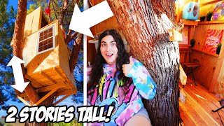 We made AN APARTMENT INSIDE A TREE!