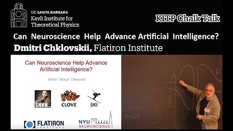 Can Neuroscience Help Advance Artificial Intelligence? ▸ Dmitri Chklovskii (Flatiron Institute)