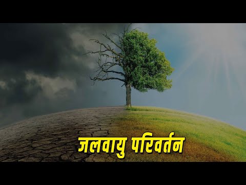 वीडियो: हम जलवायु परिवर्तन को कम करने में कैसे मदद कर सकते हैं?