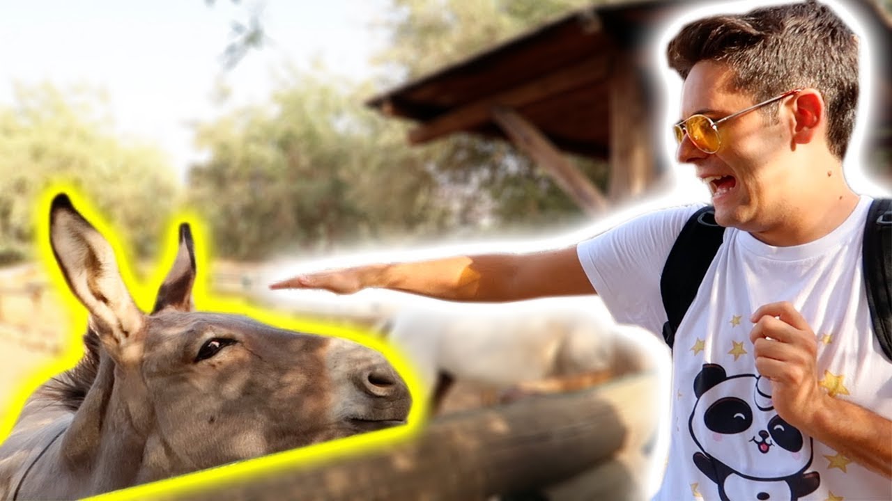 sofì e luì princesa GOING TO THE ZOO! (scared)