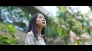 Help save our rainforests