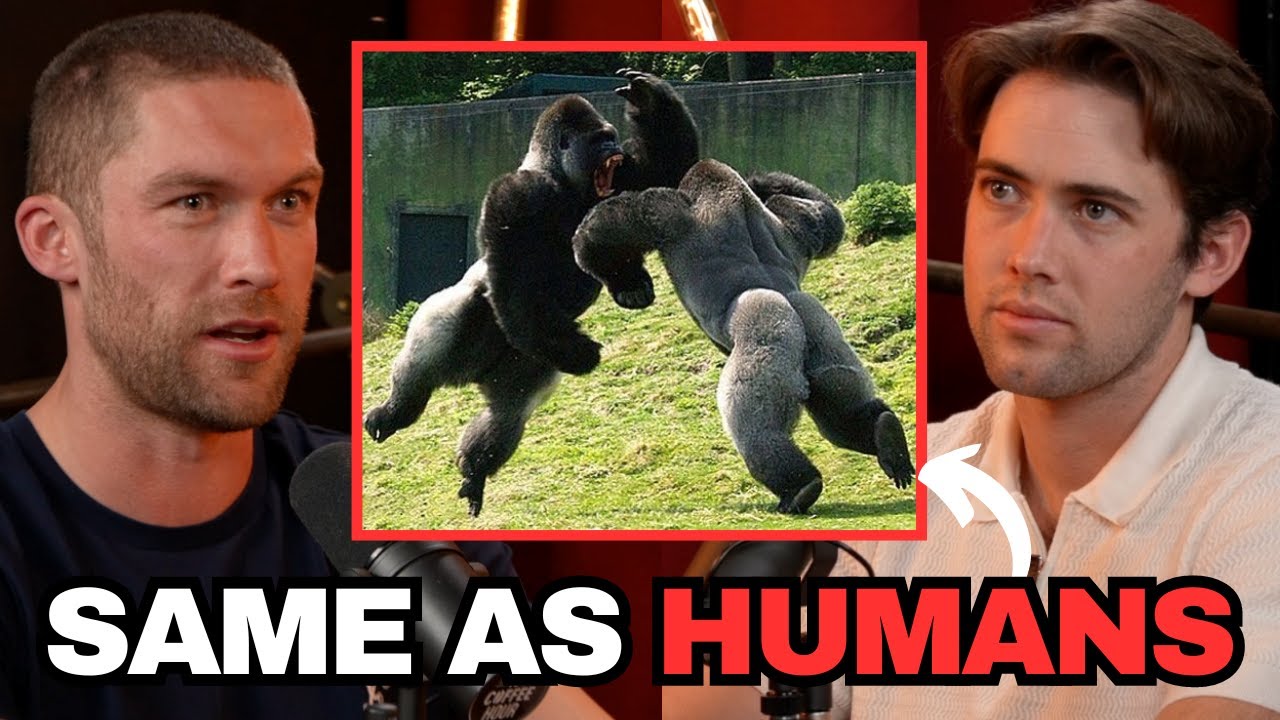 The Importance of Dominance & Intimidation in Dating