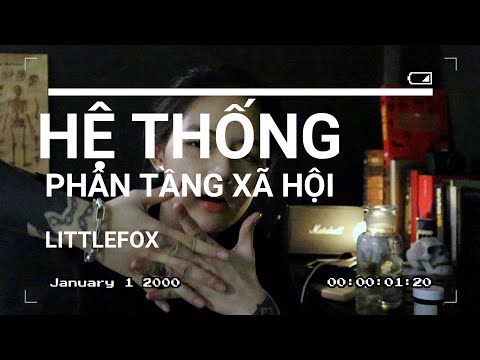 Video: Phân Tầng Xã Hội Là Gì