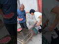 Grandpa, what are you hiding! #Unexpected #FunnyVideo #LookAtItAndLaugh