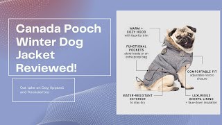 Stay Cozy with Canada Pooch! Winter Jacket Review 🐾