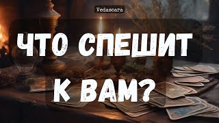 🎀 СРОЧНО! ЧТО/КТО К ВАМ СПЕШИТ? ✨ Гадание на таро онлайн 🔮 Vedascara