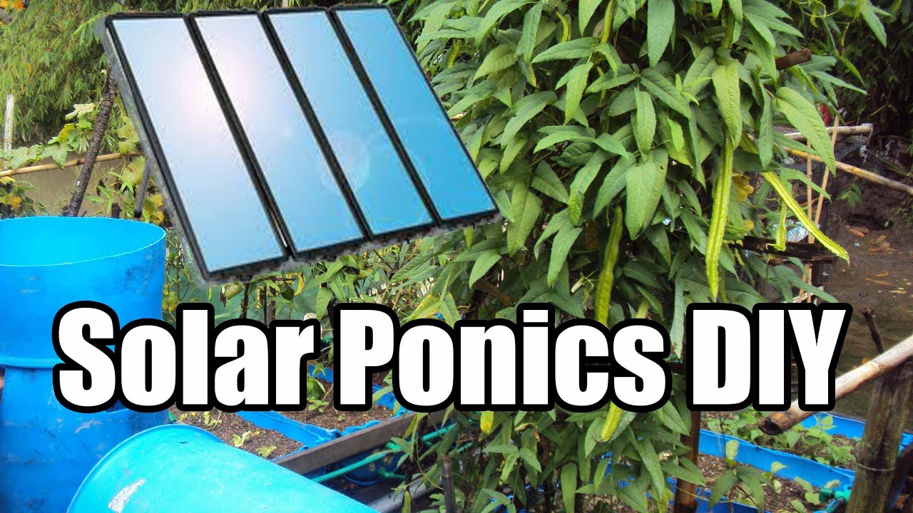 Solar Powered Aquaponics - YouTube