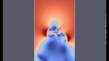 Two birds invested by wind. Lattice Boltzmann & Immersed boundary methods