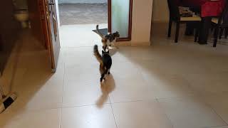 You Leave The Door Open For One Minute...