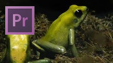 Adobe Premiere Pro: Detect Duplicate Frames Automatically