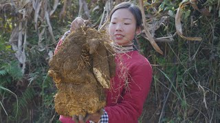 Chinese Food | Dioscorea opposita and Preserved spareribs農村的淮山藥個頭都特別大，隨便拿一點來做兩個家常菜，都很好吃